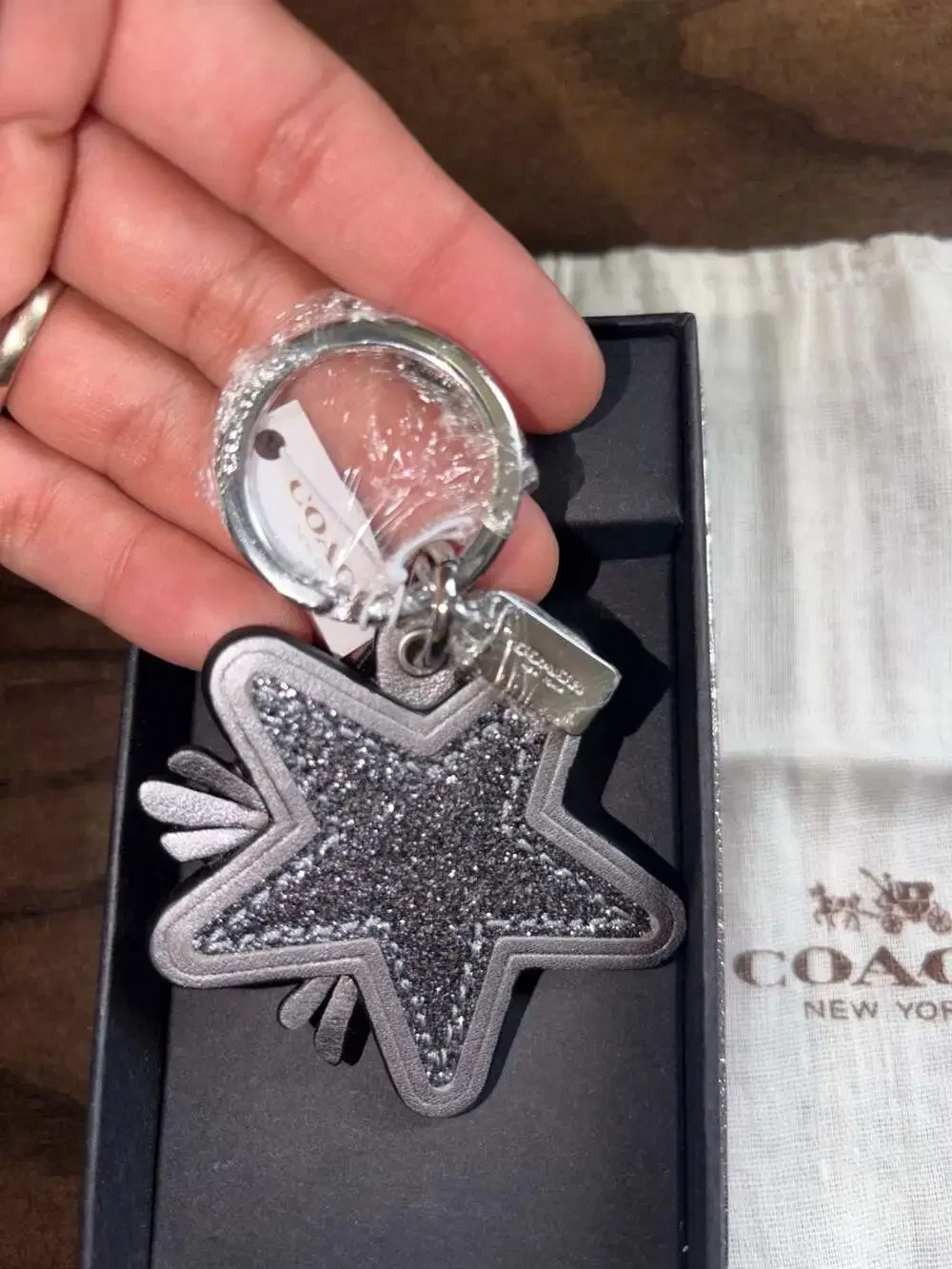 Coach Star Canyon Glitter Keychain F64350 Silver/Gunmetal